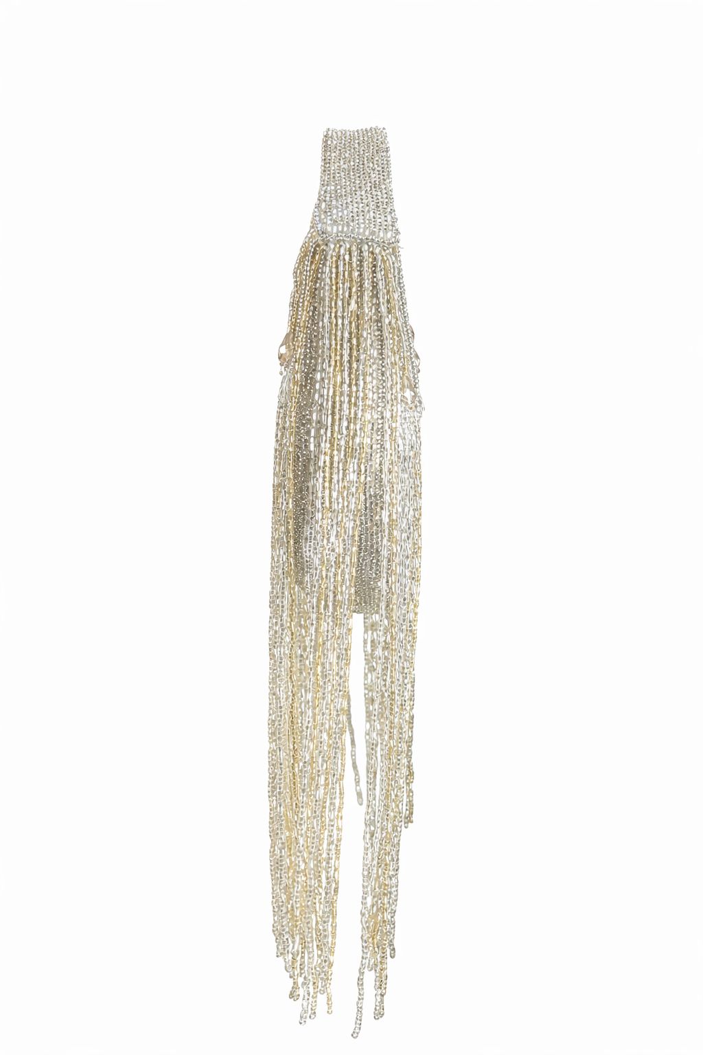 Silver & Gold fringe bag
