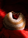 Gold silver Chandrama clutch